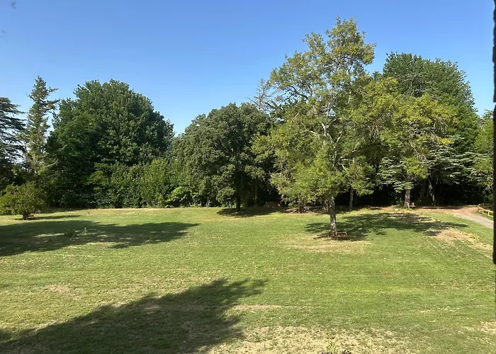 Celinatura Pensión 3*