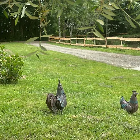 بيت ضيافة Celinatura 3*