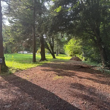 Гостевой дом Celinatura 3*