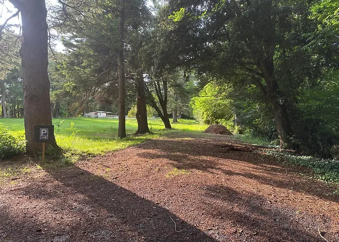 Gasthuis Celinatura 3*